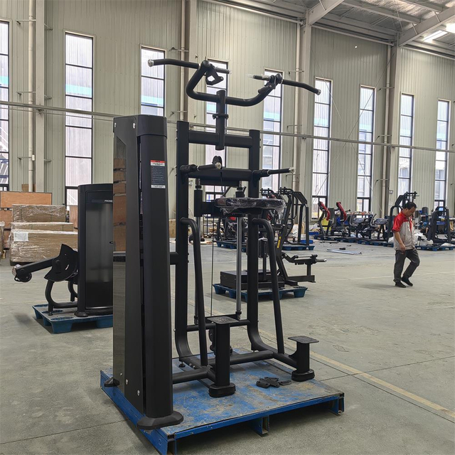 Mnd-Fh09 Dip/Chin Assist Ahorre un 20% de fuerza de fábrica Máquina deportiva de remo bajo