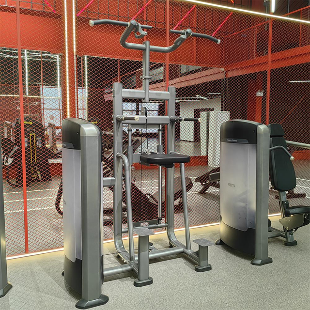 Máquina de asistencia para fondos y mentón FF09 | Calistenia asistida por peso | Equipo de fuerza para gimnasio