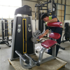 Máquina de extensión de espalda F31 | Fortalecedor de la espalda baja | Desarrollador de cadena posterior
