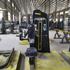 Máquina de remo vertical F34 | Desarrollador de la parte superior de la espalda | Corrector de postura
