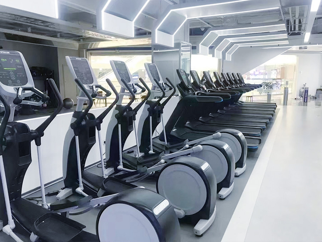 Equipos de fitness cargados con placas para hoteles.