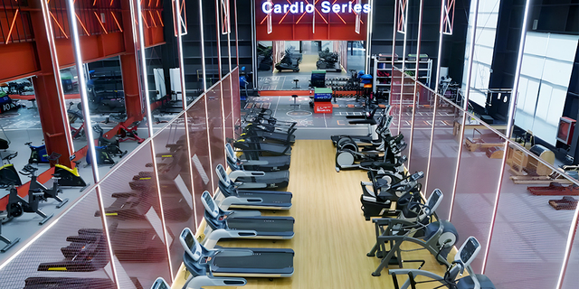 estación multigimnasio premium