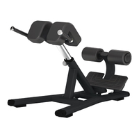 Banco de extensión de respaldo F45 | Silla romana | Desarrollador central y lumbar