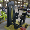 Máquina de extensión de espalda F31 | Fortalecedor de la espalda baja | Desarrollador de cadena posterior