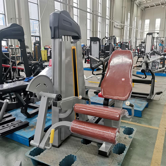 Máquina de extensión de piernas F02 | Aislador de cuádriceps | Equipo de fortalecimiento de rodilla