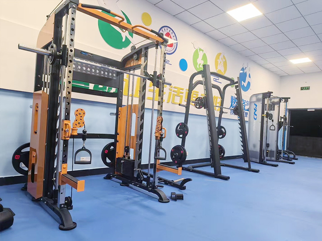 Equipos de fitness cargados con placas para clubes deportivos.