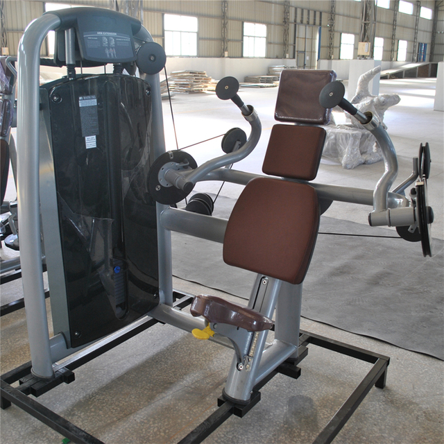 Máquina de extensión de brazo AN15 | Constructor de tríceps | Equipo de fuerza para la parte superior del cuerpo