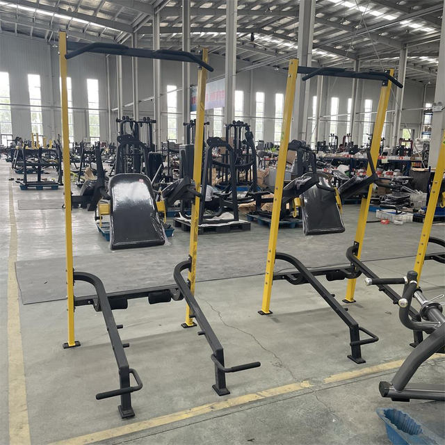 Torre de potencia MND-F100 (estación de rodillas, fondos y dominadas)