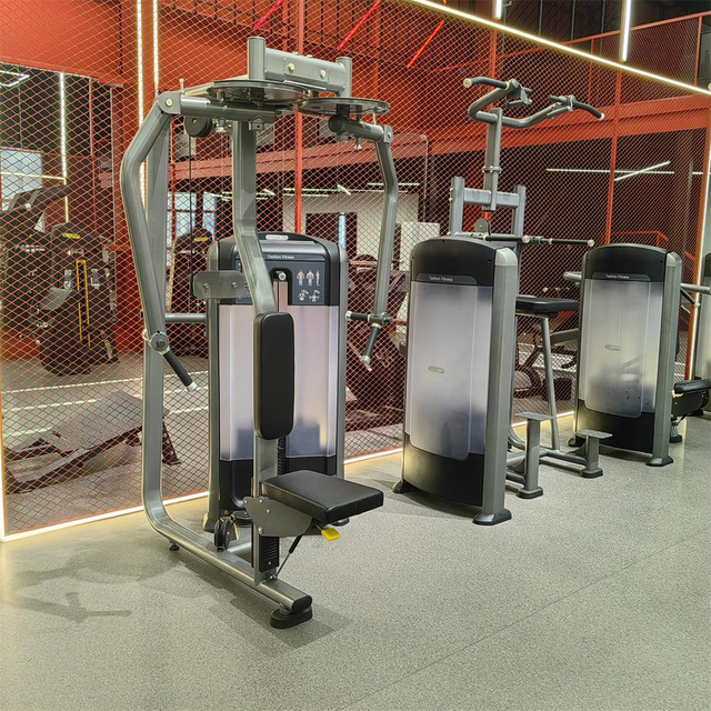 Máquina de mosca deltográfica trasera FF07 | Constructor de la parte superior de la espalda | Equipo de gimnasia OEM