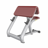Banco Scott AN13 | Banco de curl predicador | Equipo de entrenamiento de bíceps