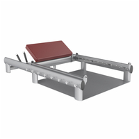 Máquinas de cadera AN65 | Desarrollador de cadera | Equipo de entrenamiento de glúteos