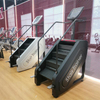 Entrenador de escaleras MND-X200C | Modelo LED de valor | APTITUD MND