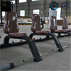 Banco utilitario multiusos F38 | Taburete para prensa de hombros | Accesorio de gimnasio