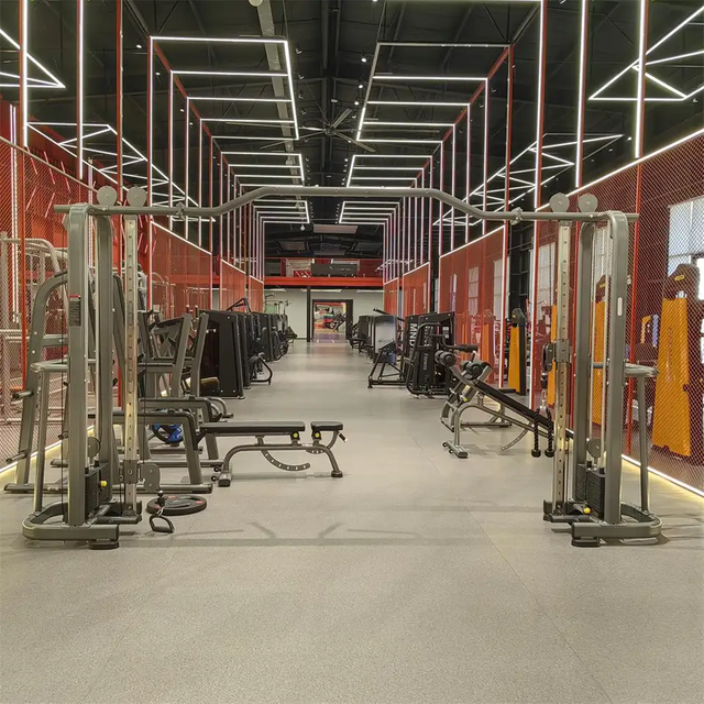 Máquina de cruce de cables FF16 | Entrenador multifunción | Equipo de gimnasio comercial