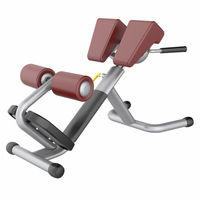 Máquina de extensión de respaldo de silla romana para entrenamiento de cadena posterior AN31
