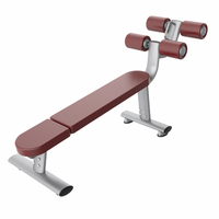 Tablero web AN57 | Entrenador abdominal | Equipo de fortalecimiento del núcleo