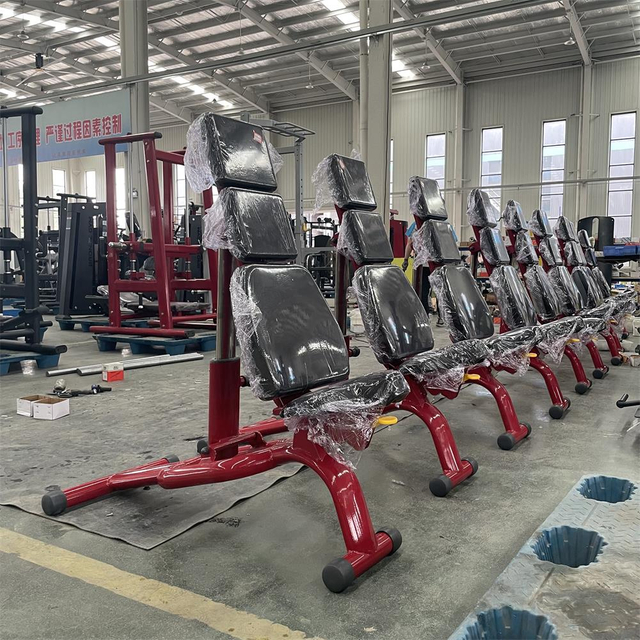 Banco ajustable AN12 | Banco multiposición | Equipo de entrenamiento de gimnasio