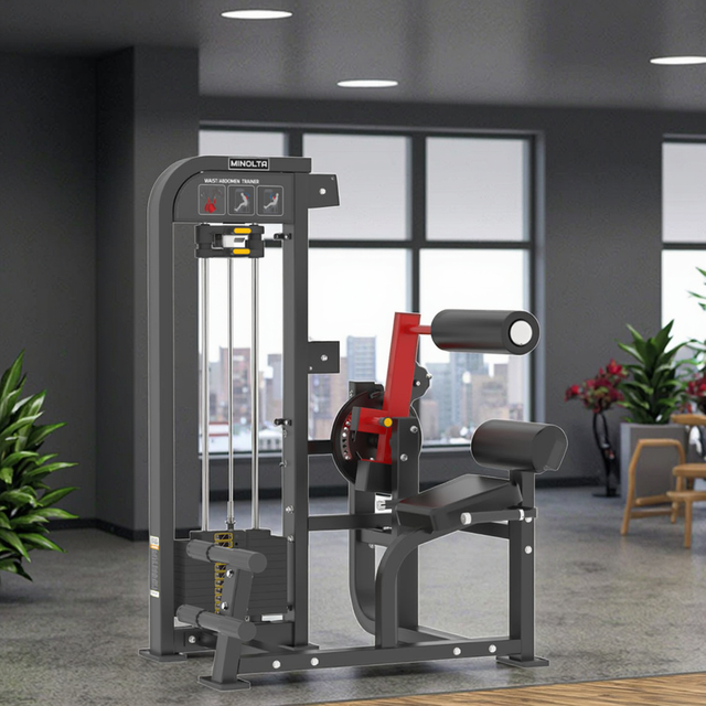 MND-FM85 Entrenador de cintura y abdomen | Máquina rotatoria de torso | Desarrollador oblicuo y central